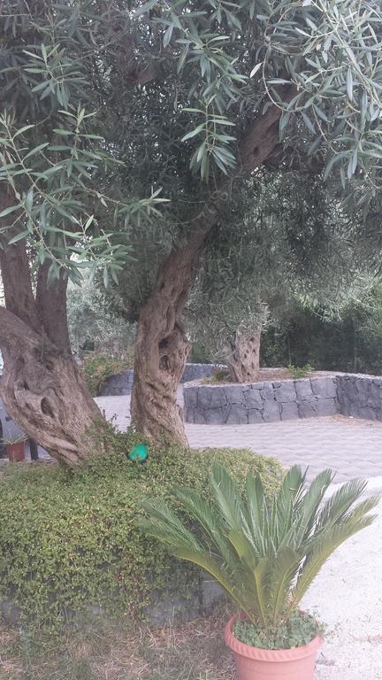 Azienda Agricola Cuntarati 布龙泰 外观 照片
