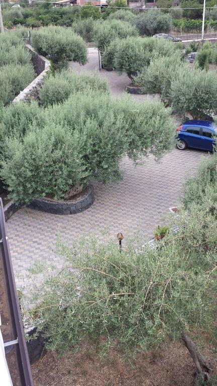 Azienda Agricola Cuntarati 布龙泰 外观 照片